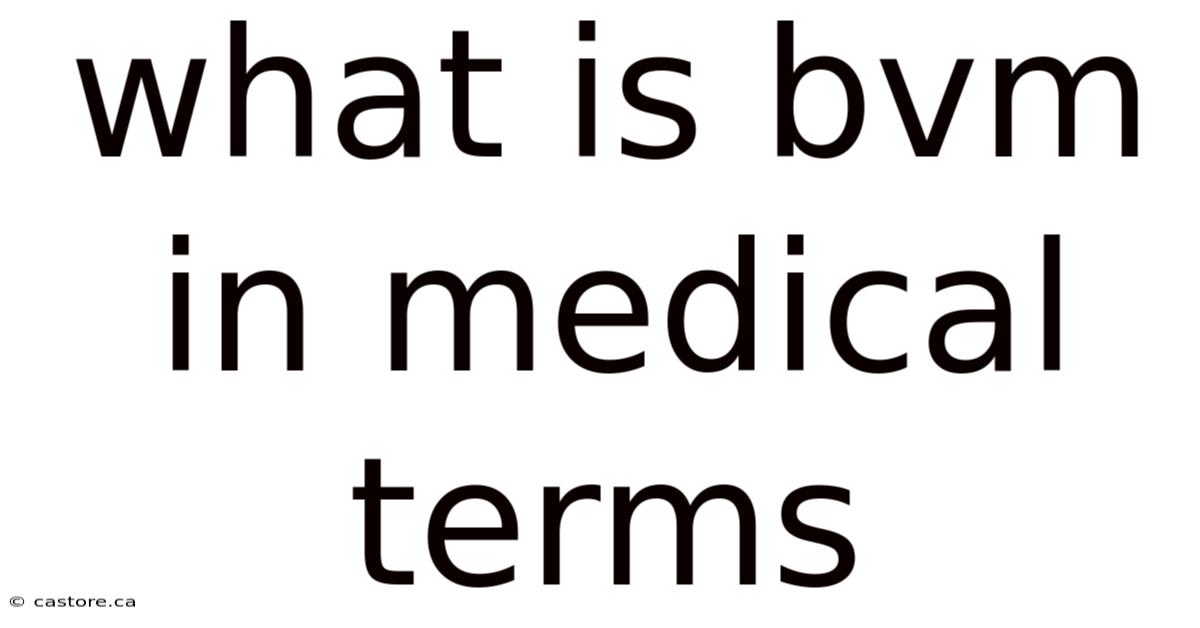 What Is Bvm In Medical Terms