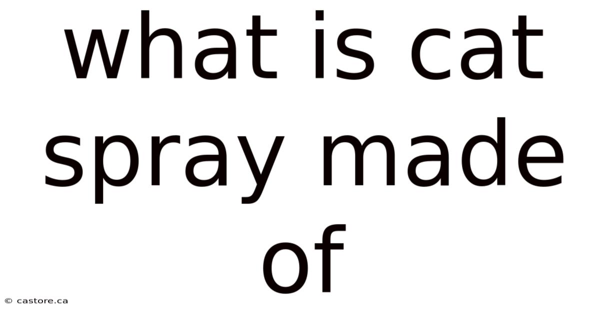 What Is Cat Spray Made Of
