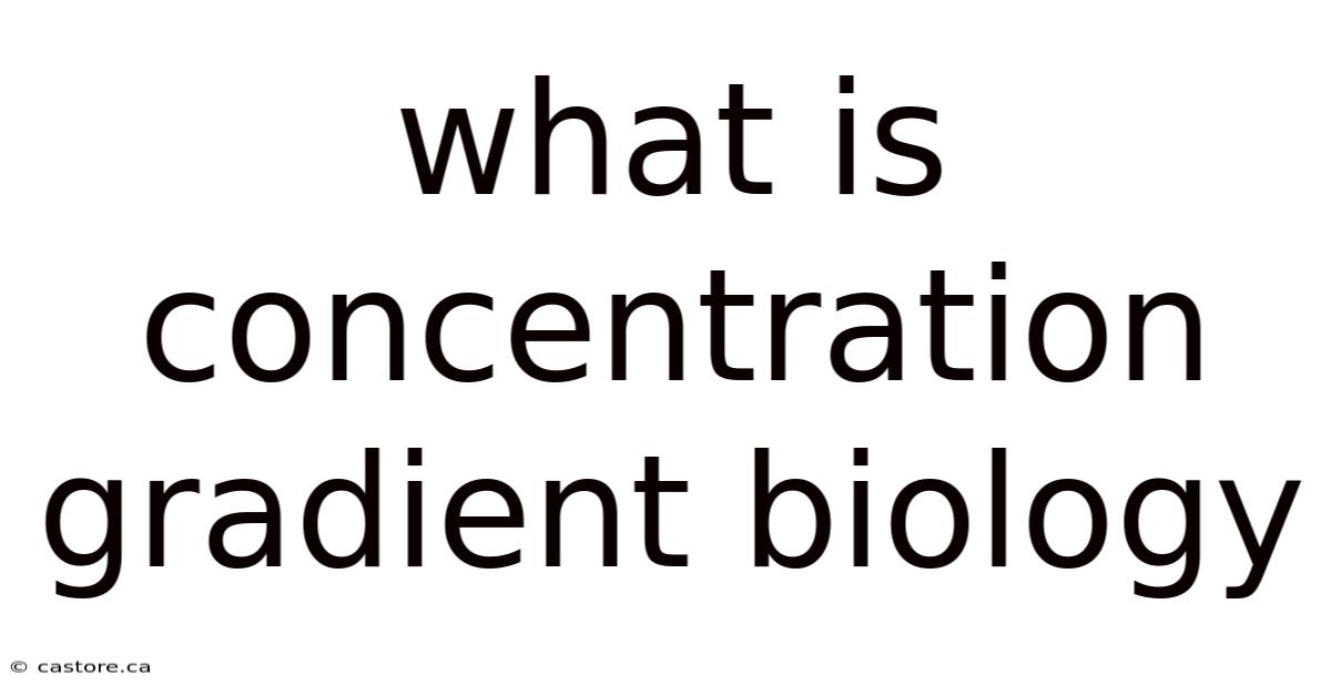 What Is Concentration Gradient Biology