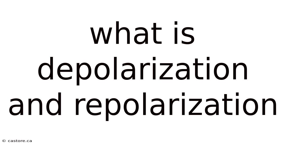 What Is Depolarization And Repolarization