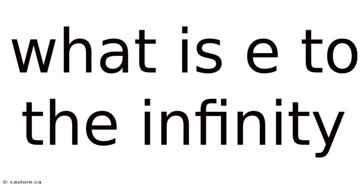 What Is E To The Infinity
