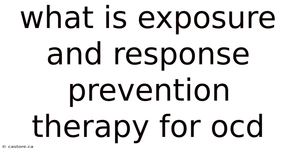 What Is Exposure And Response Prevention Therapy For Ocd