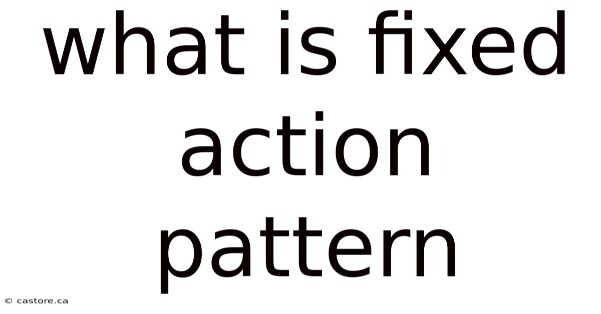 What Is Fixed Action Pattern