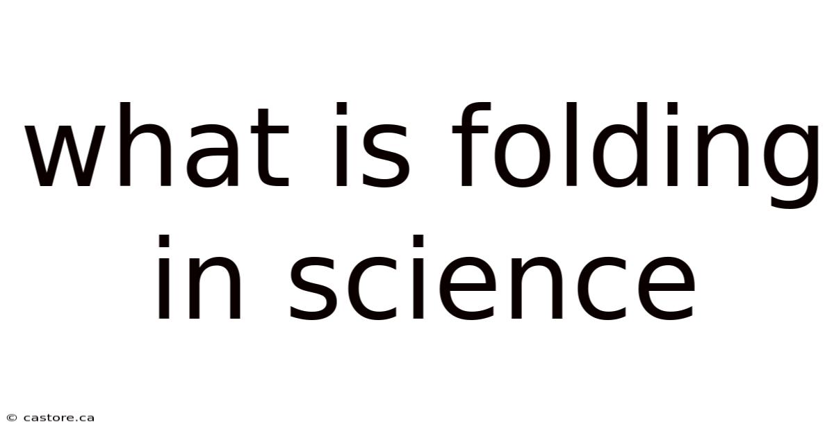 What Is Folding In Science