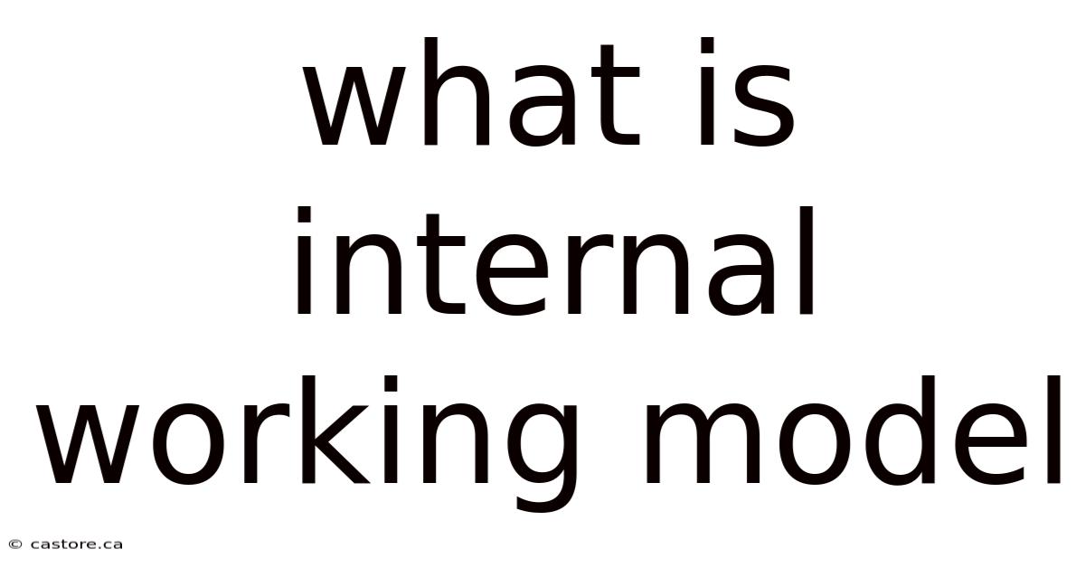 What Is Internal Working Model