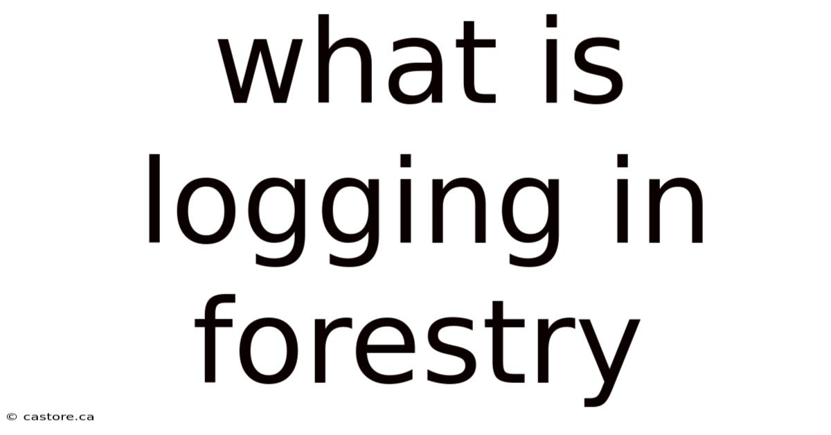 What Is Logging In Forestry