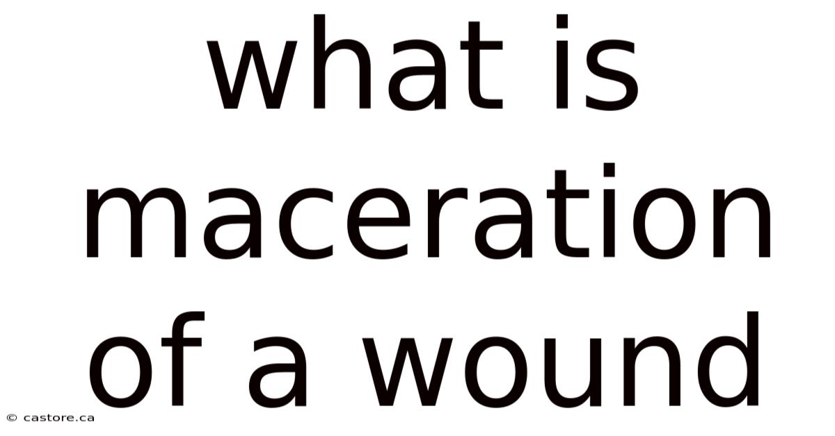 What Is Maceration Of A Wound