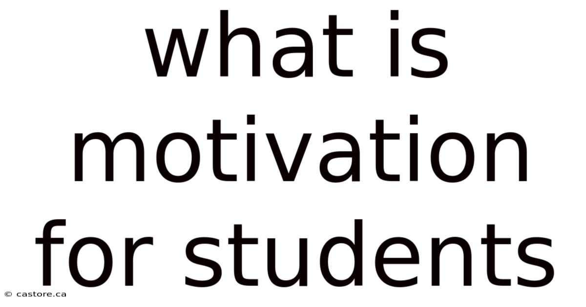 What Is Motivation For Students