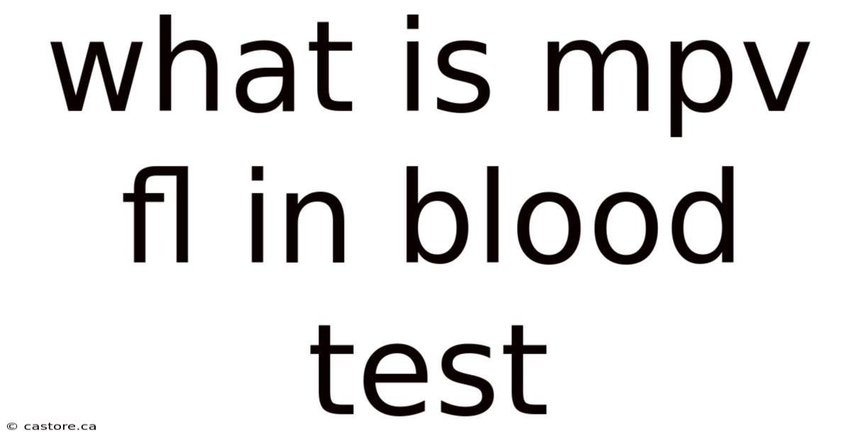 What Is Mpv Fl In Blood Test