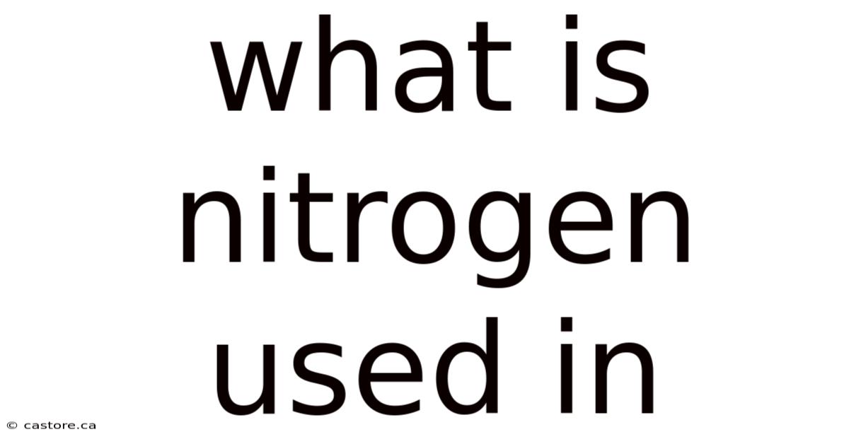 What Is Nitrogen Used In