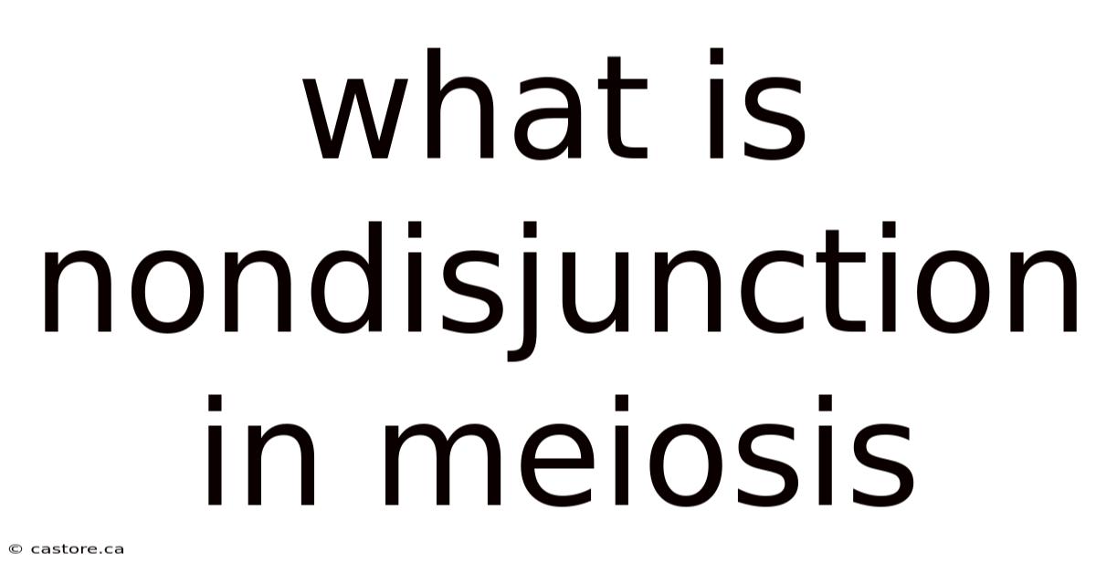 What Is Nondisjunction In Meiosis