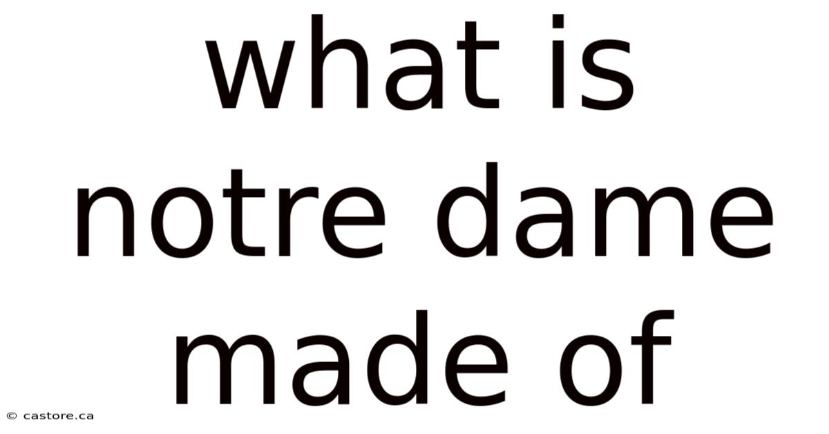 What Is Notre Dame Made Of