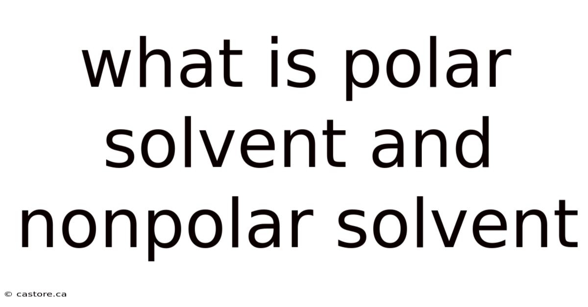 What Is Polar Solvent And Nonpolar Solvent