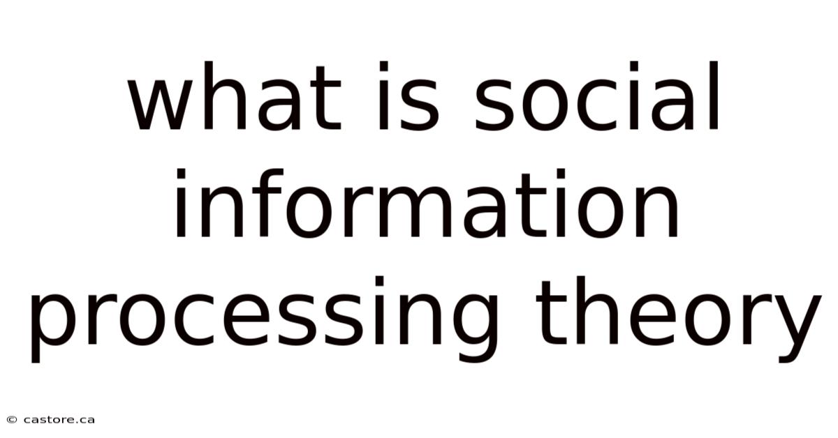 What Is Social Information Processing Theory