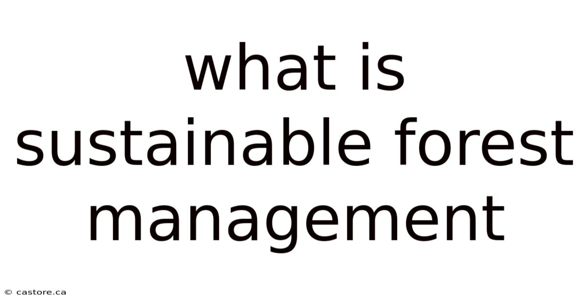 What Is Sustainable Forest Management