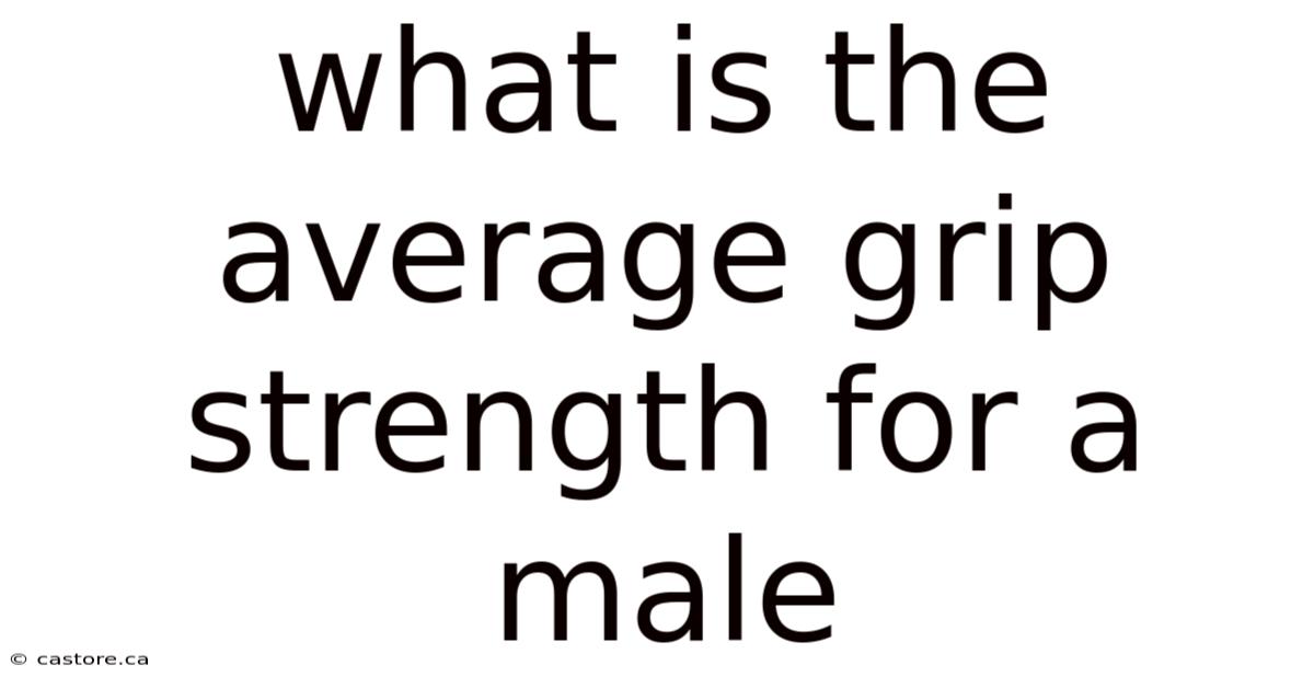 What Is The Average Grip Strength For A Male