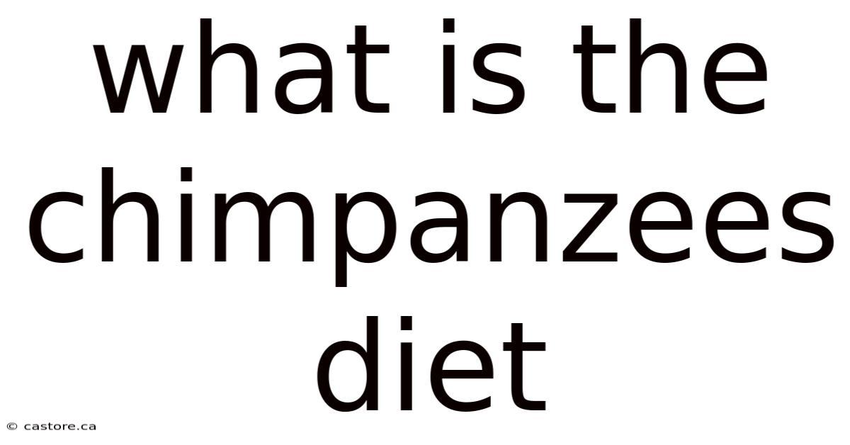 What Is The Chimpanzees Diet