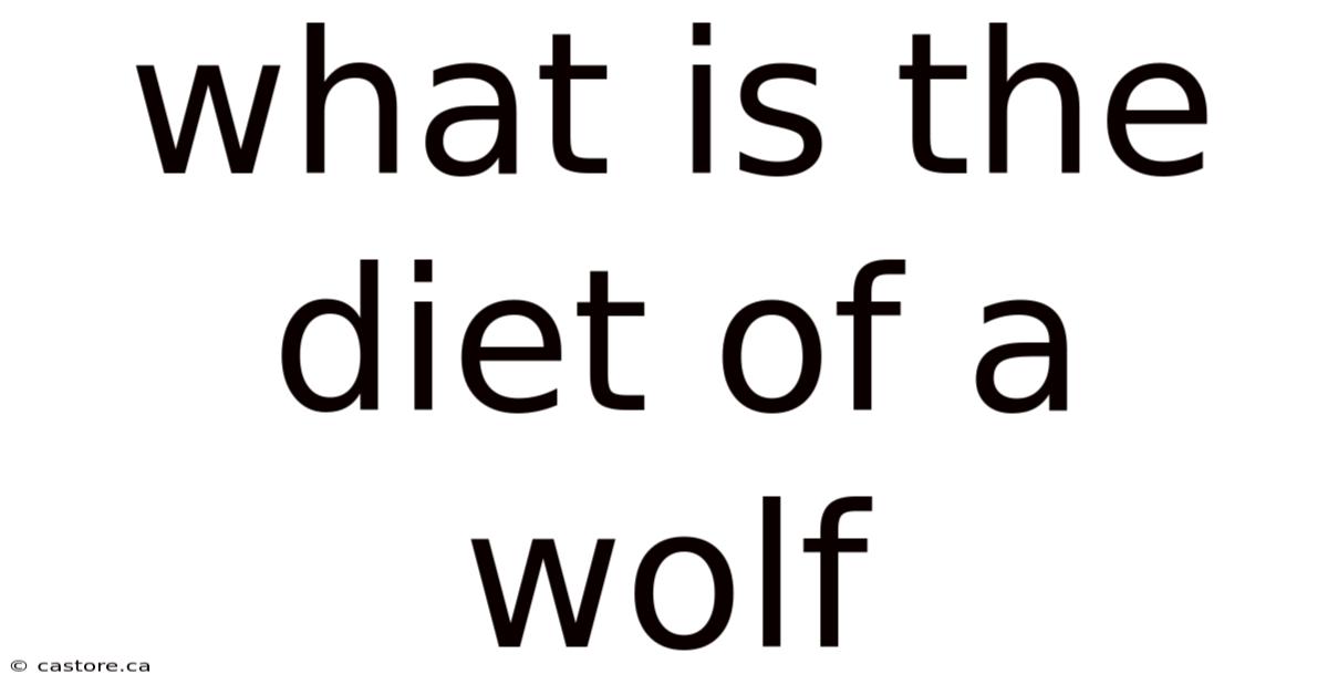 What Is The Diet Of A Wolf