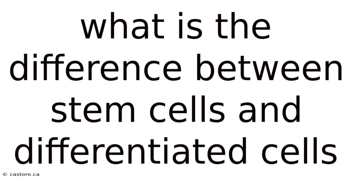 What Is The Difference Between Stem Cells And Differentiated Cells