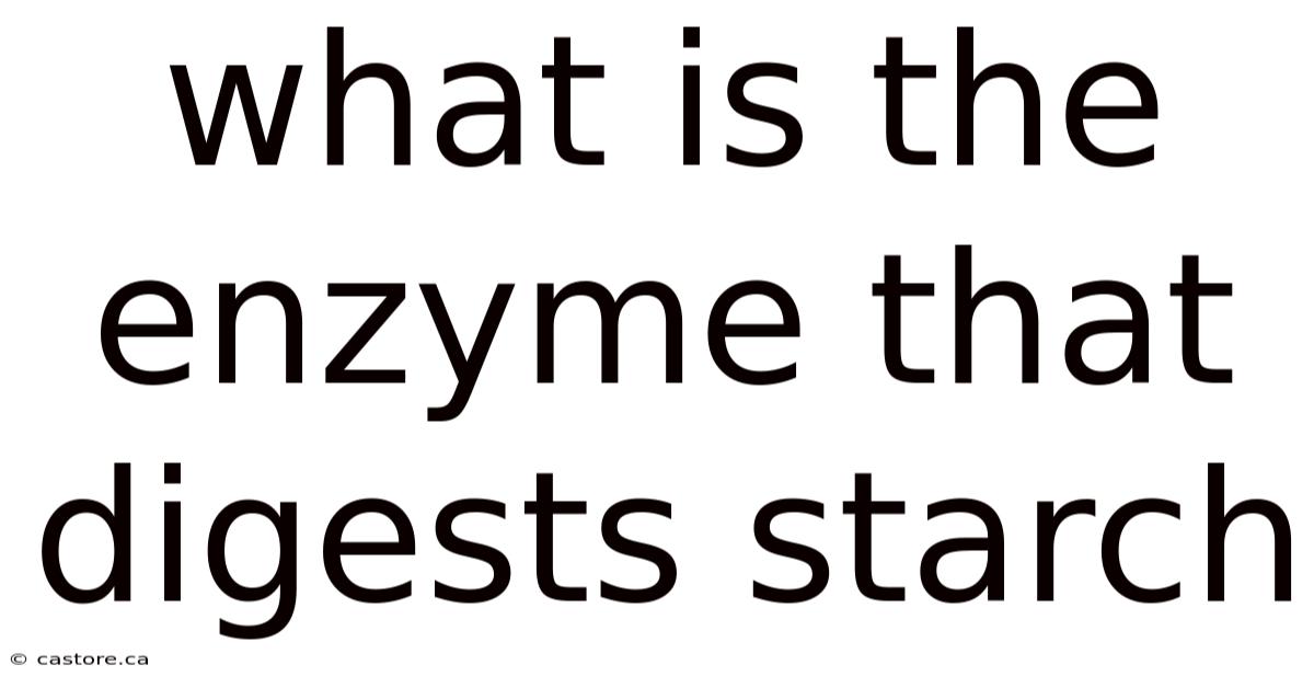 What Is The Enzyme That Digests Starch