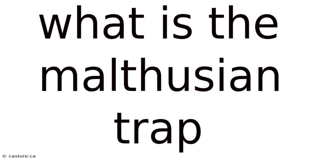 What Is The Malthusian Trap