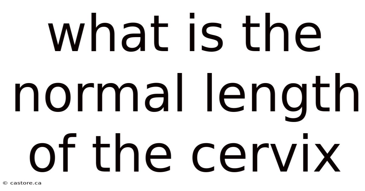 What Is The Normal Length Of The Cervix