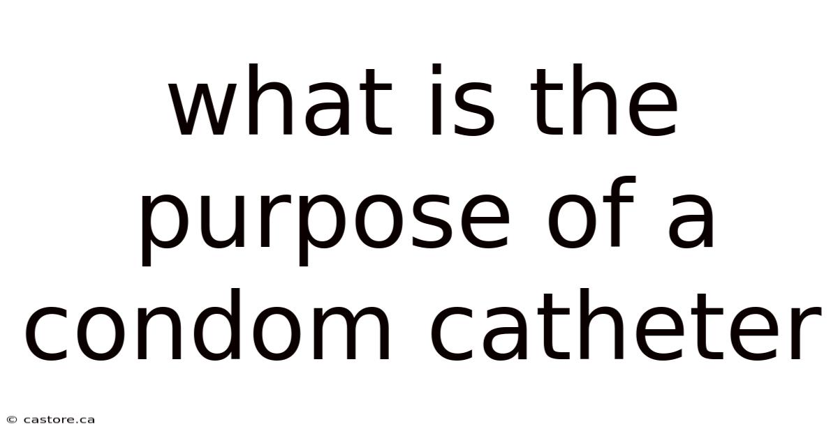 What Is The Purpose Of A Condom Catheter