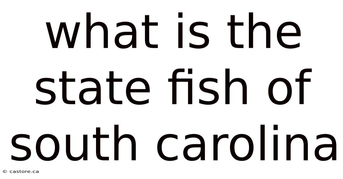 What Is The State Fish Of South Carolina