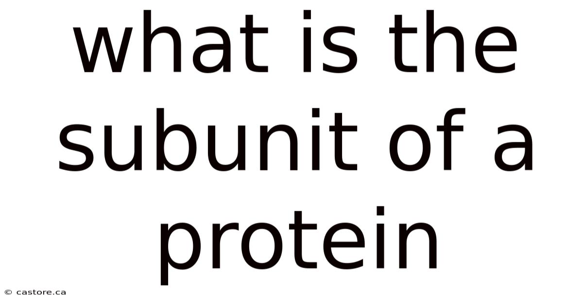 What Is The Subunit Of A Protein