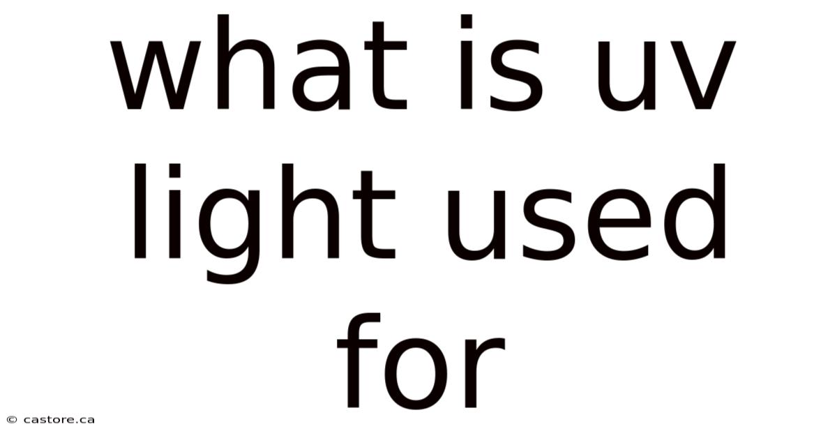 What Is Uv Light Used For