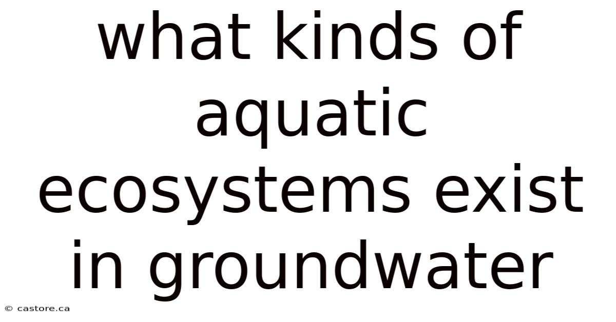 What Kinds Of Aquatic Ecosystems Exist In Groundwater