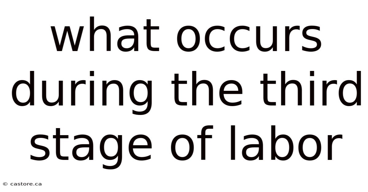 What Occurs During The Third Stage Of Labor