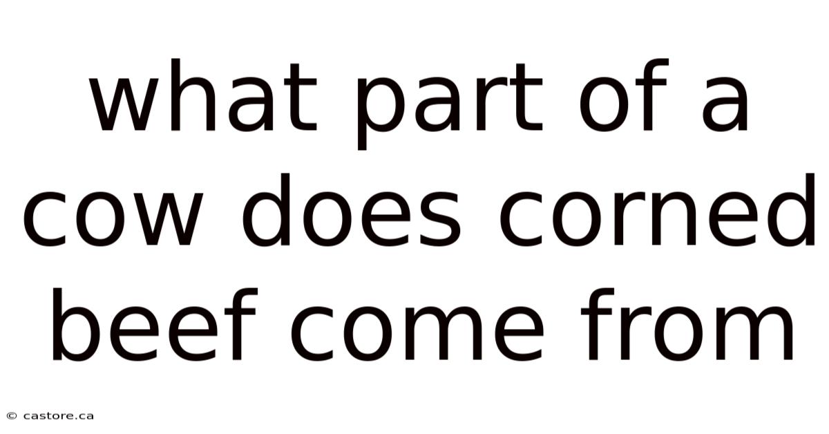 What Part Of A Cow Does Corned Beef Come From