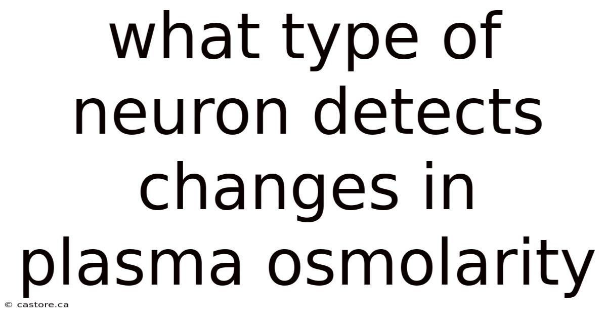What Type Of Neuron Detects Changes In Plasma Osmolarity