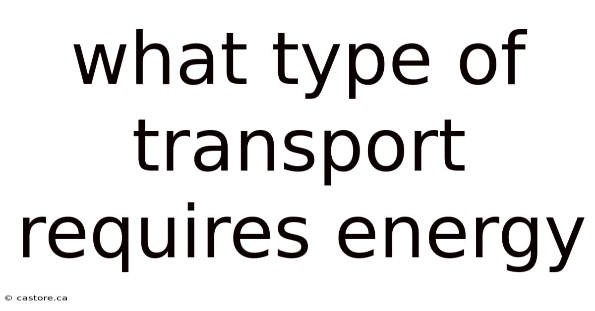 What Type Of Transport Requires Energy