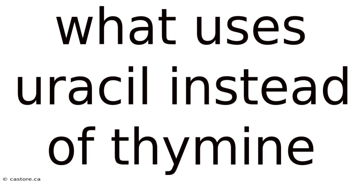 What Uses Uracil Instead Of Thymine