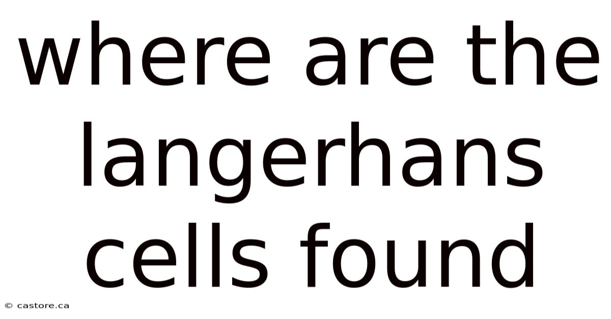 Where Are The Langerhans Cells Found