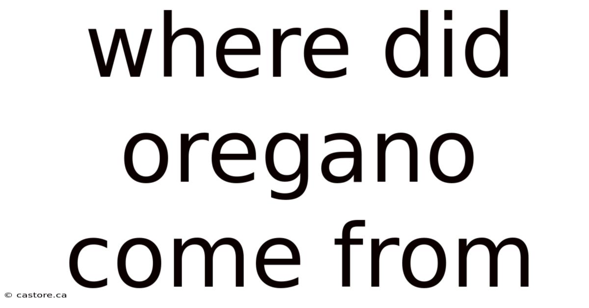 Where Did Oregano Come From