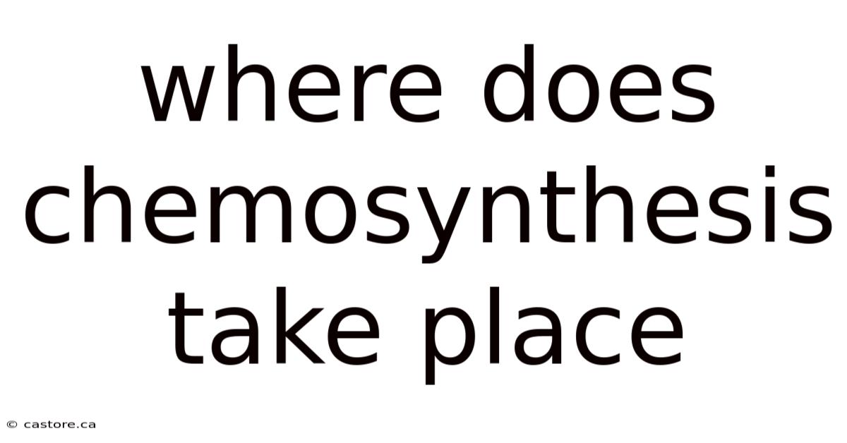 Where Does Chemosynthesis Take Place