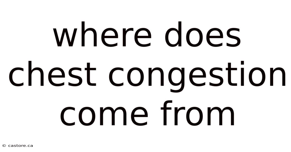 Where Does Chest Congestion Come From