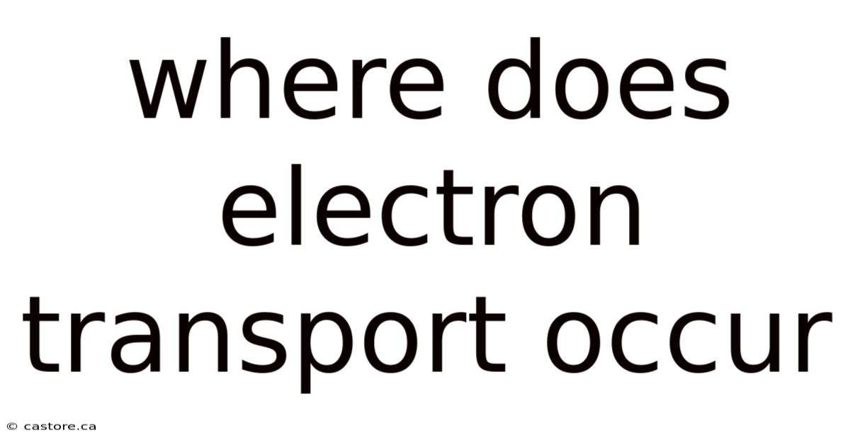 Where Does Electron Transport Occur