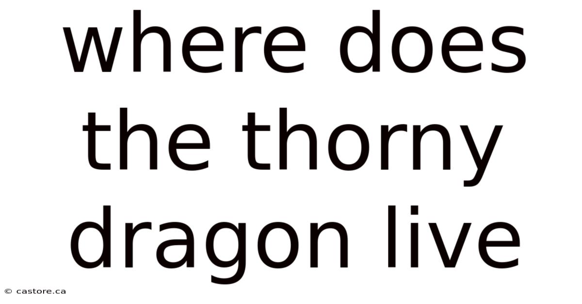 Where Does The Thorny Dragon Live
