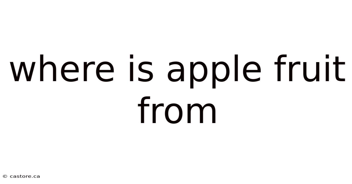 Where Is Apple Fruit From