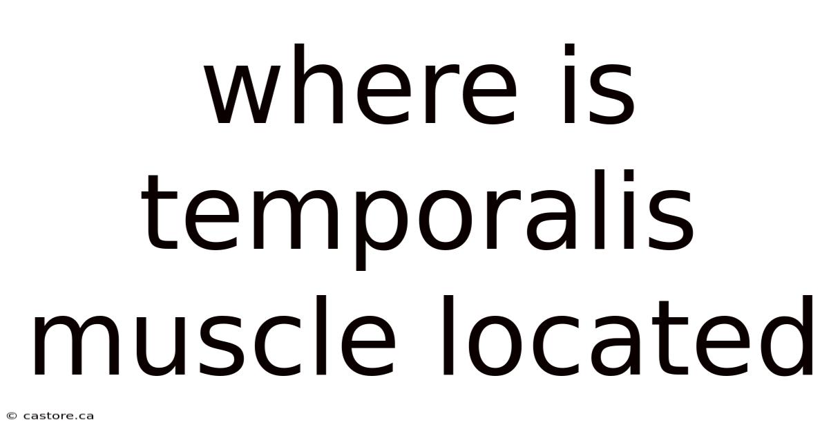Where Is Temporalis Muscle Located