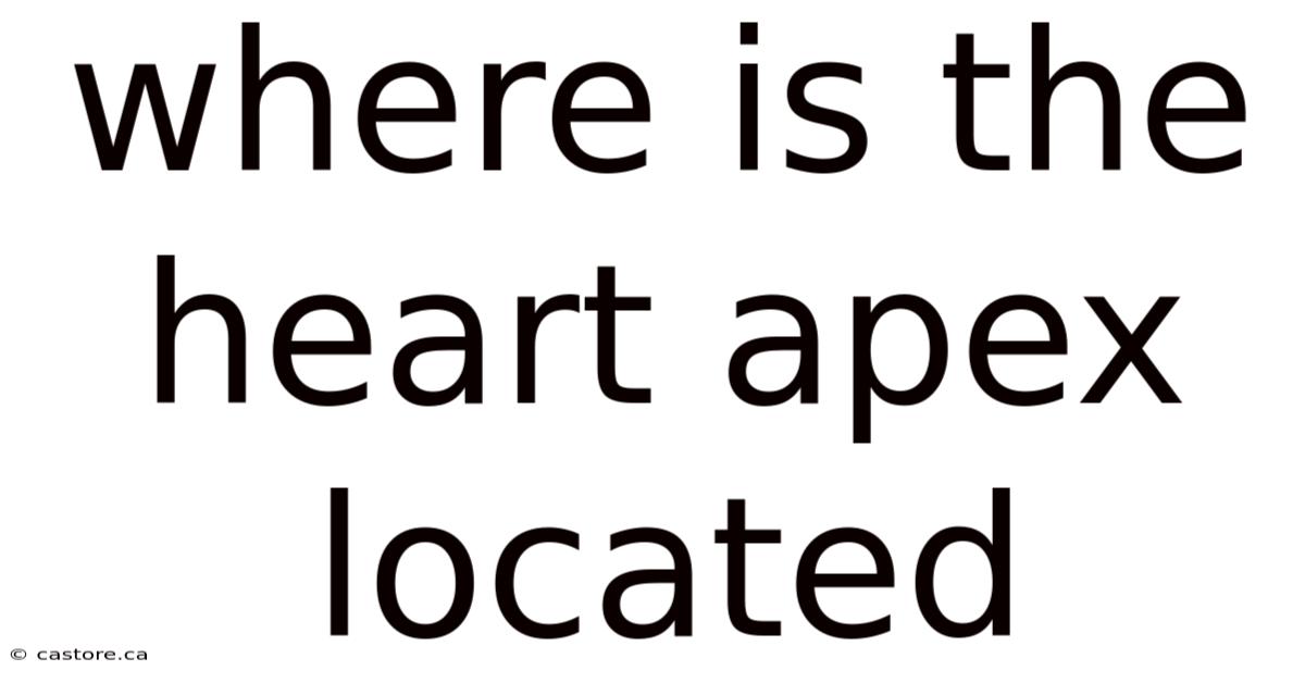 Where Is The Heart Apex Located
