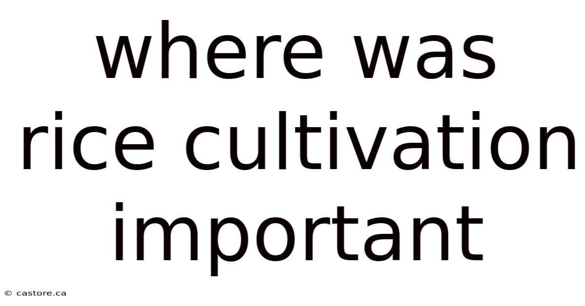 Where Was Rice Cultivation Important