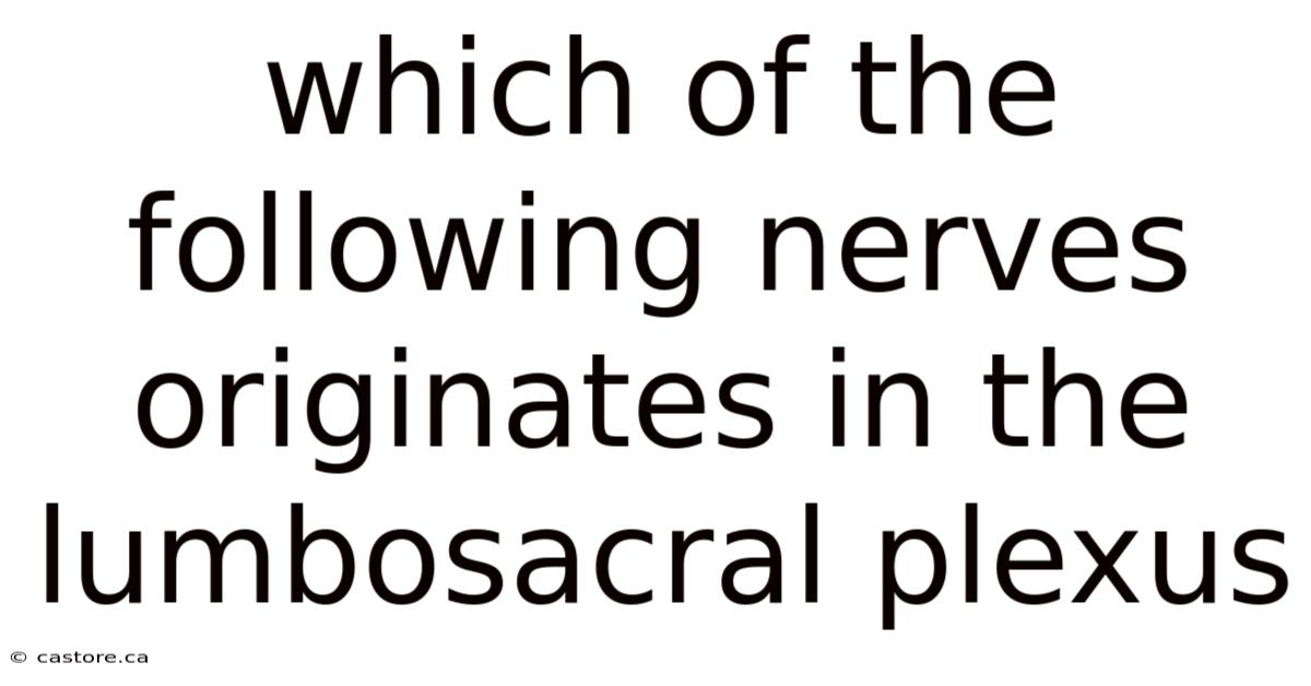 Which Of The Following Nerves Originates In The Lumbosacral Plexus