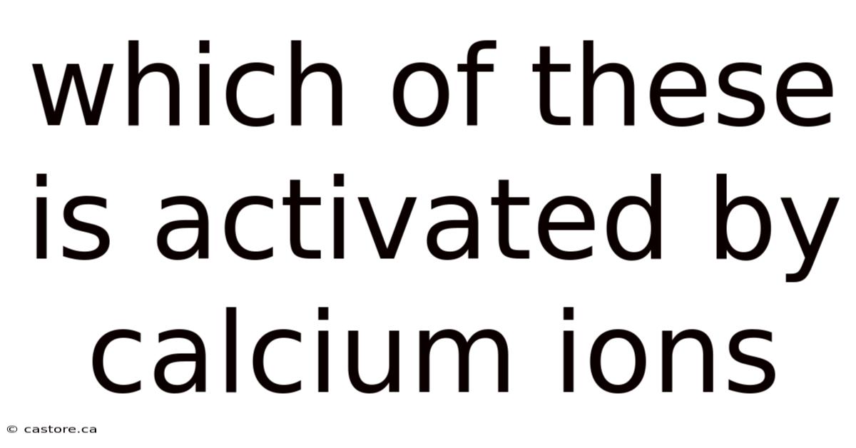 Which Of These Is Activated By Calcium Ions