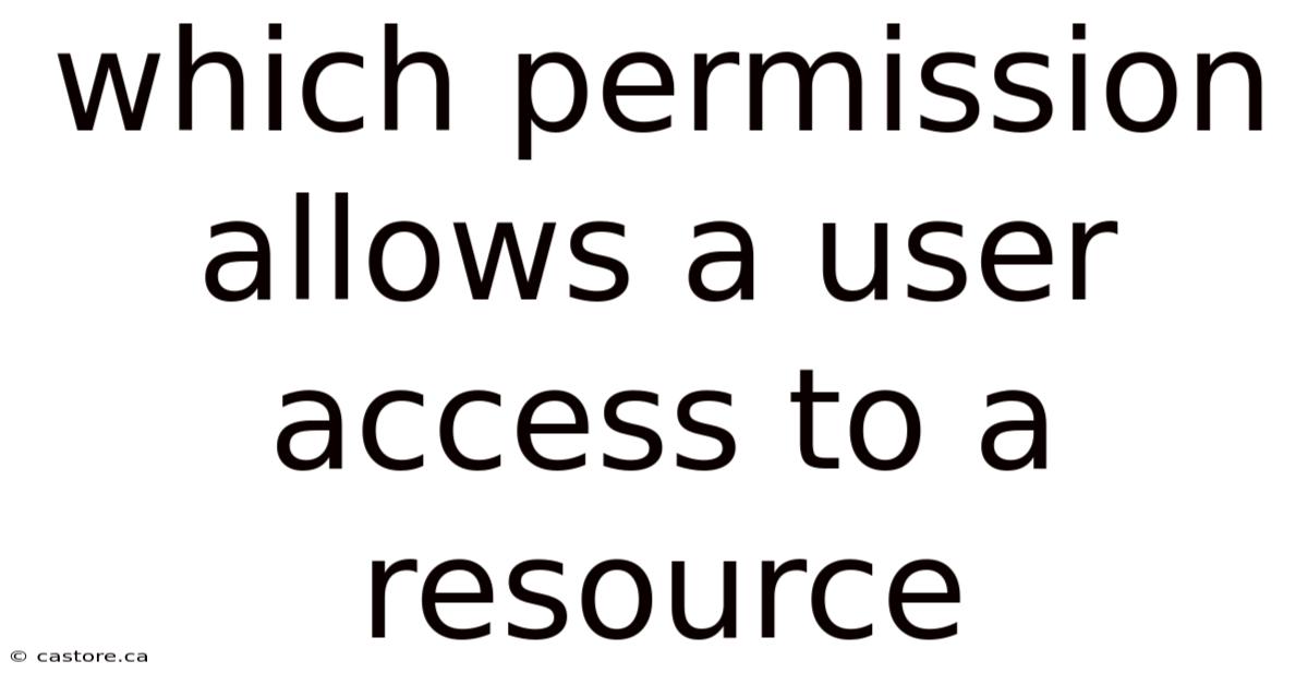 Which Permission Allows A User Access To A Resource