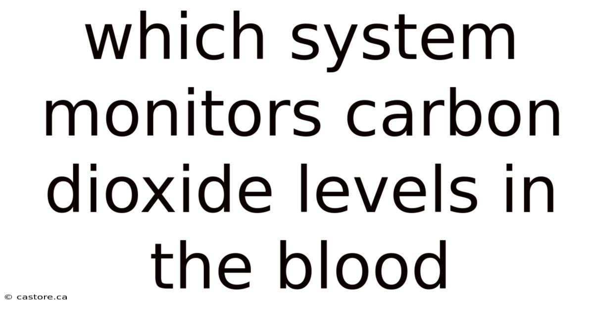 Which System Monitors Carbon Dioxide Levels In The Blood